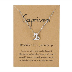 Кулон Козерог знак зодиака Capricorn подвеска на цепочке серебристый